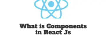 What is Components