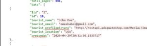 api response